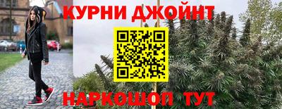 мяу мяу мука Кулебаки